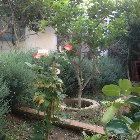 La Casa del Limoneto-3